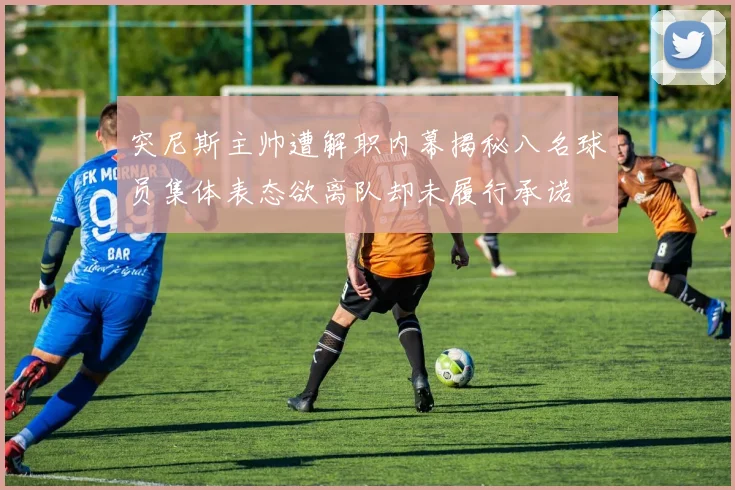 突尼斯主帅遭解职内幕揭秘八名球员集体表态欲离队却未履行承诺