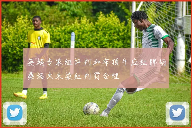 英超专家组评判加布顶牛应红牌胡桑诺夫未染红判罚合理